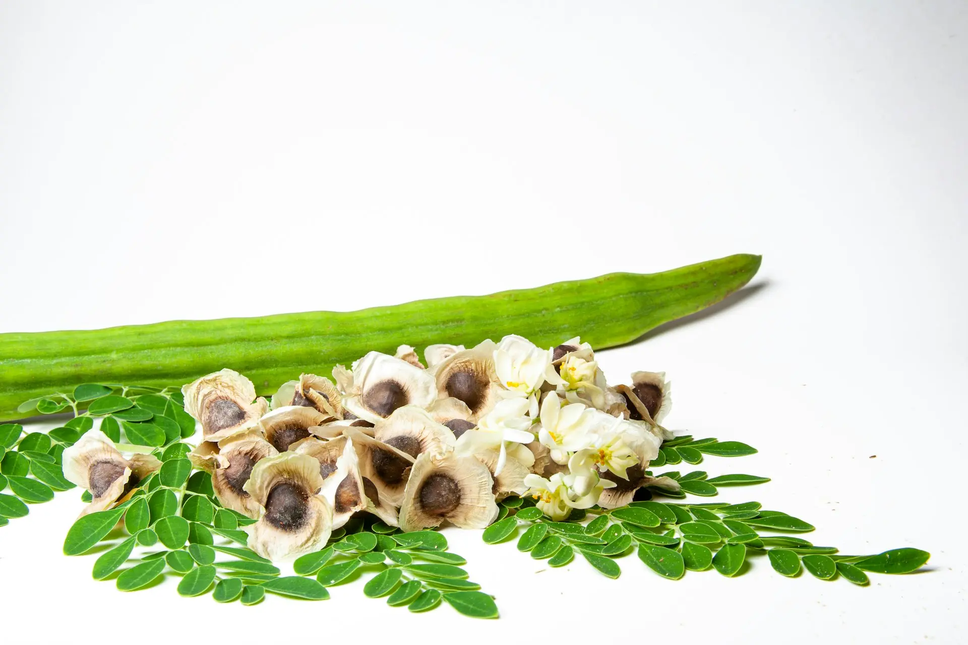 a cucumber and some flowers on a white surface