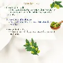 4.webp