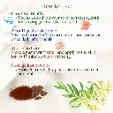 4.webp
