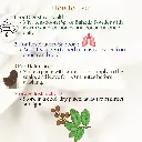 4.webp