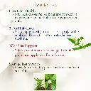 4.webp