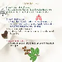 4.webp
