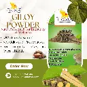 Giloy