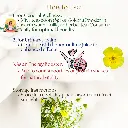 4.webp