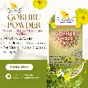 Gokhru