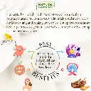 3.webp