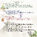4.webp