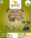 Kaucha