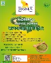 Moringa Leaves