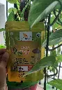 Jigma Amla Powder – 100% Natural & Pure